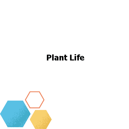 Plant Life